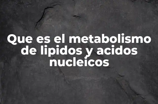 Que es el Metabolismo de Lipidos y Acidos Nucleicos