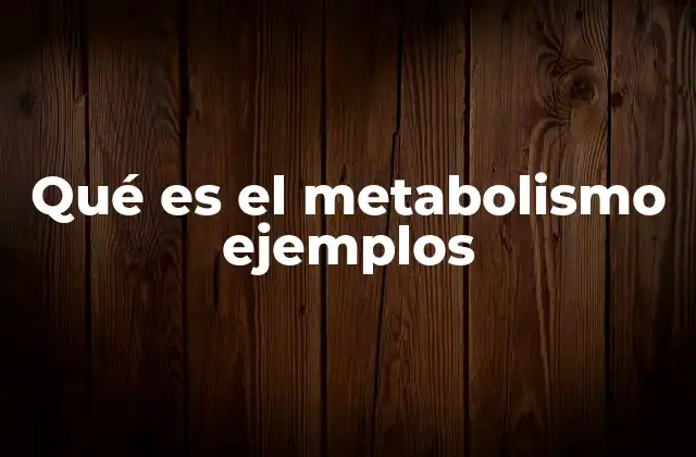 Qué es el Metabolismo Ejemplos