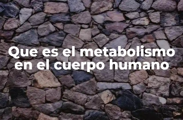 Que es el Metabolismo en el Cuerpo Humano