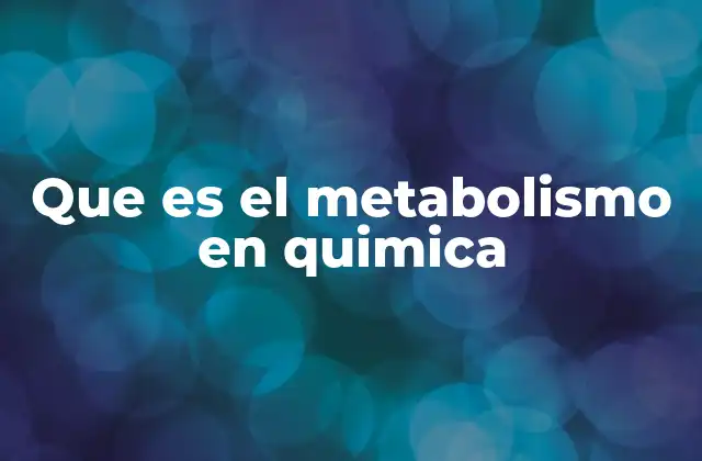 Que es el Metabolismo en Quimica