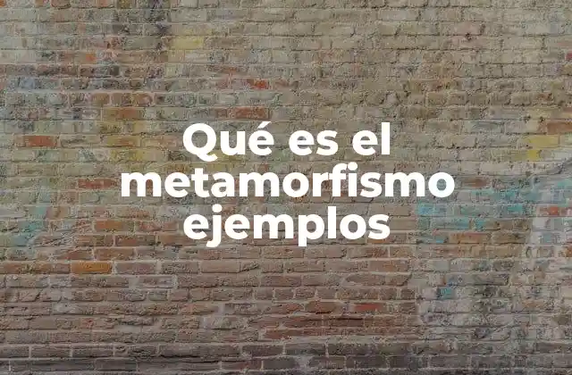 Qué es el Metamorfismo Ejemplos