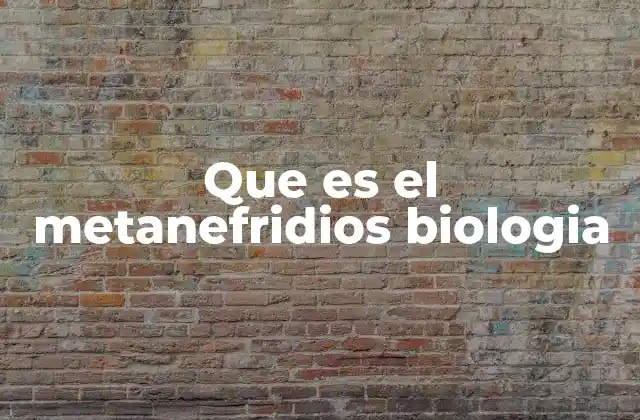 Que es el Metanefridios Biologia