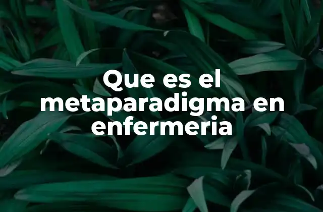 Que es el Metaparadigma en Enfermeria