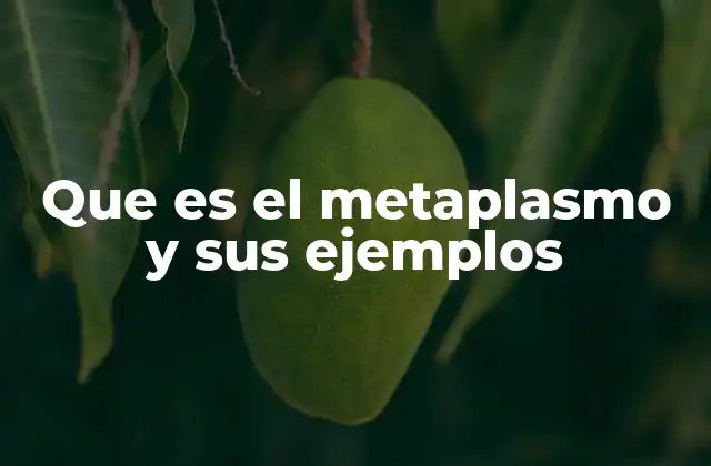 Que es el Metaplasmo y Sus Ejemplos