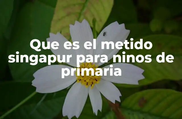Que es el Metido Singapur para Ninos de Primaria