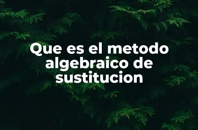 Que es el Metodo Algebraico de Sustitucion