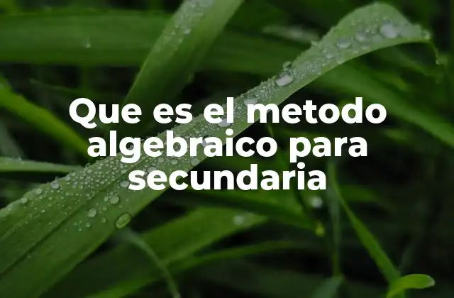 Que es el Metodo Algebraico para Secundaria