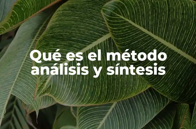 Qué es el Método Análisis y Síntesis