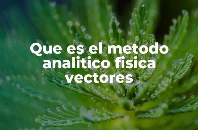 Que es el Metodo Analitico Fisica Vectores