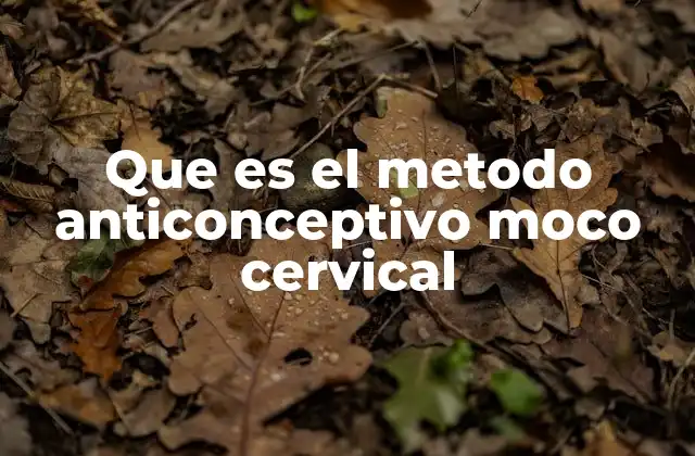 Que es el Metodo Anticonceptivo Moco Cervical