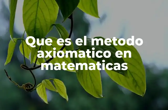 Que es el Metodo Axiomatico en Matematicas