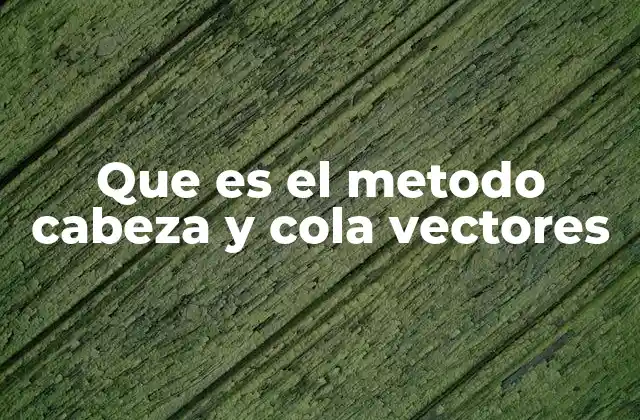 Que es el Metodo Cabeza y Cola Vectores