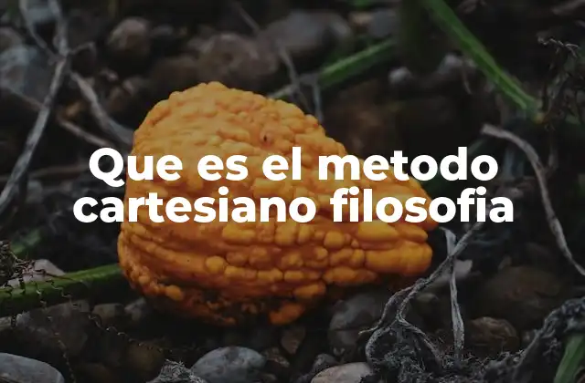 Que es el Metodo Cartesiano Filosofia