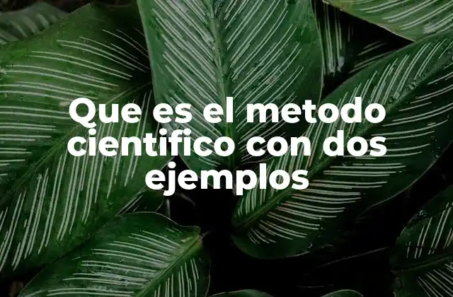 Que es el Metodo Cientifico con Dos Ejemplos