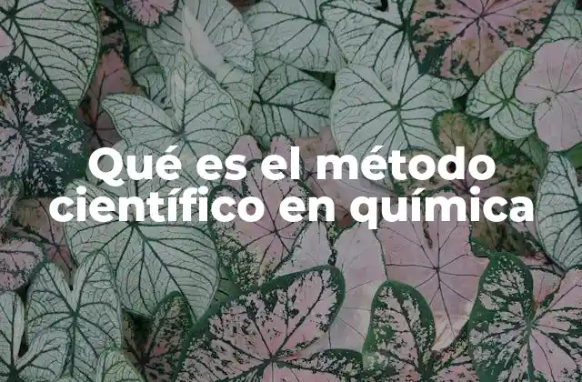 Qué es el Método Científico en Química