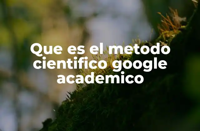 Que es el Metodo Cientifico Google Academico 2 El proceso detrás de la investigación científica