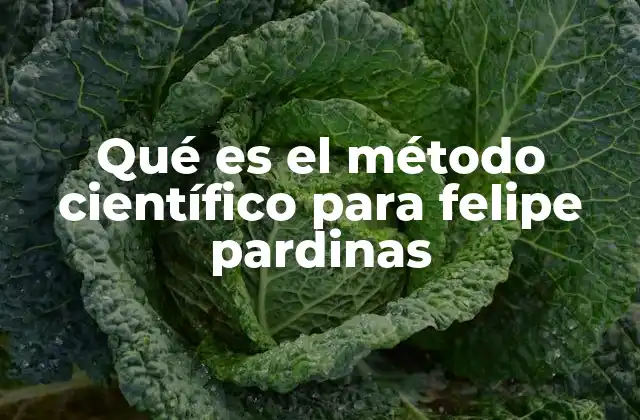 Qué es el Método Científico para Felipe Pardinas