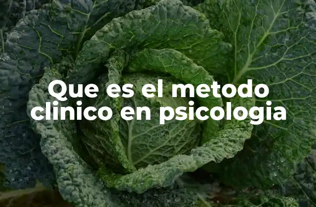 Que es el Metodo Clinico en Psicologia