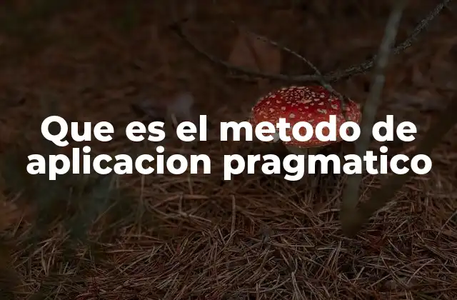 Que es el Metodo de Aplicacion Pragmatico 2 El enfoque práctico detrás del método de aplicación pragmático