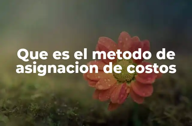 Que es el Metodo de Asignacion de Costos
