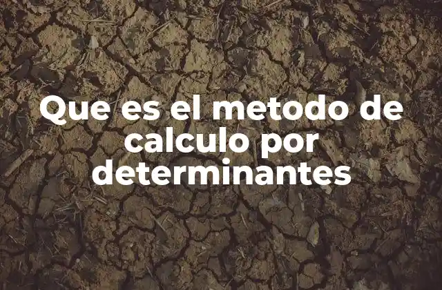 Que es el Metodo de Calculo por Determinantes