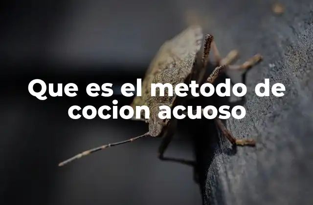 Que es el Metodo de Cocion Acuoso