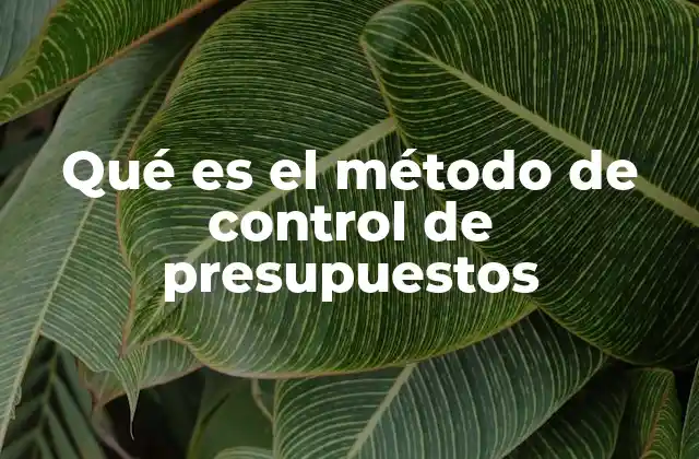 Qué es el Método de Control de Presupuestos 2 La importancia de una planificación financiera eficiente