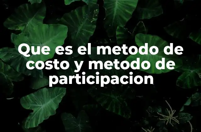 Que es el Metodo de Costo y Metodo de Participacion