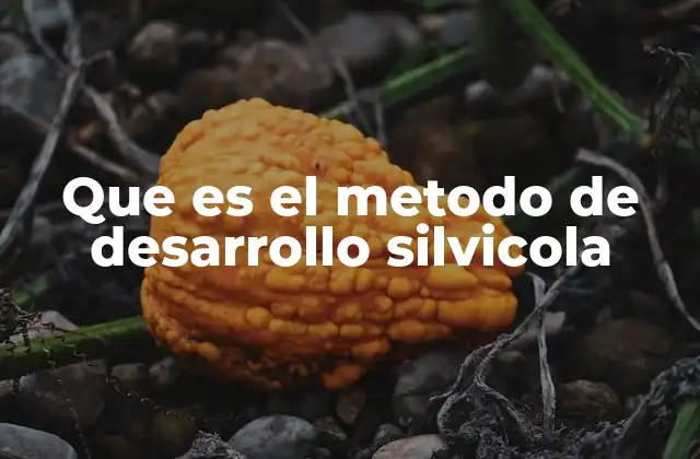 Que es el Metodo de Desarrollo Silvicola