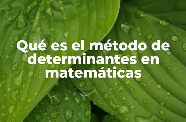 Qué es el Método de Determinantes en Matemáticas