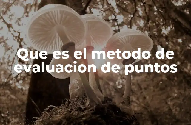 Cómo el método de evaluación de puntos mejora la gestión de talento