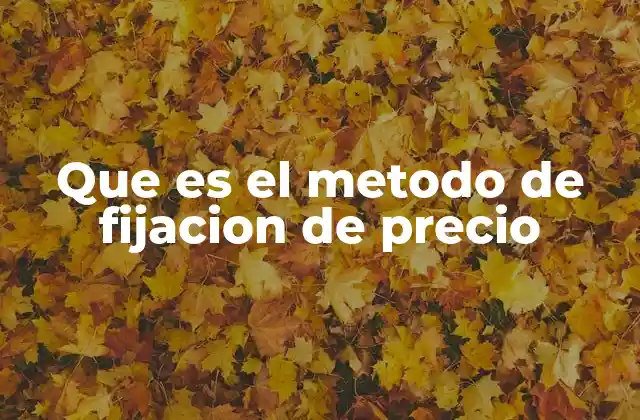 Que es el Metodo de Fijacion de Precio