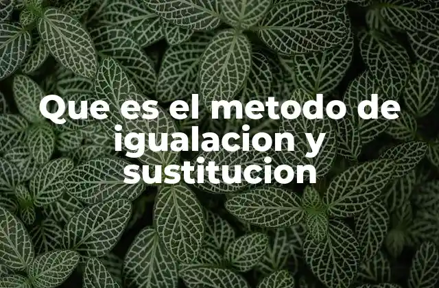 Que es el Metodo de Igualacion y Sustitucion