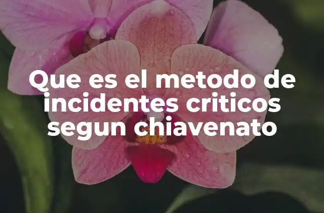 Que es el Metodo de Incidentes Criticos Segun Chiavenato