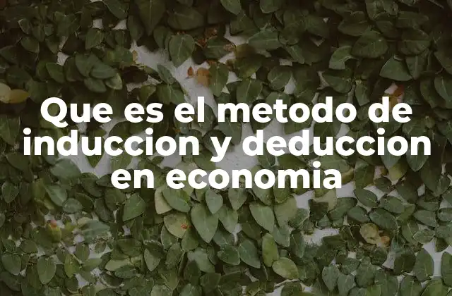 Que es el Metodo de Induccion y Deduccion en Economia
