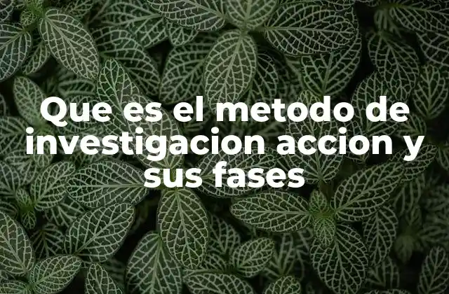 Que es el Metodo de Investigacion Accion y Sus Fases