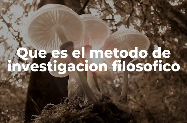 Que es el Metodo de Investigacion Filosofico 2 El enfoque filosófico como herramienta de análisis crítico