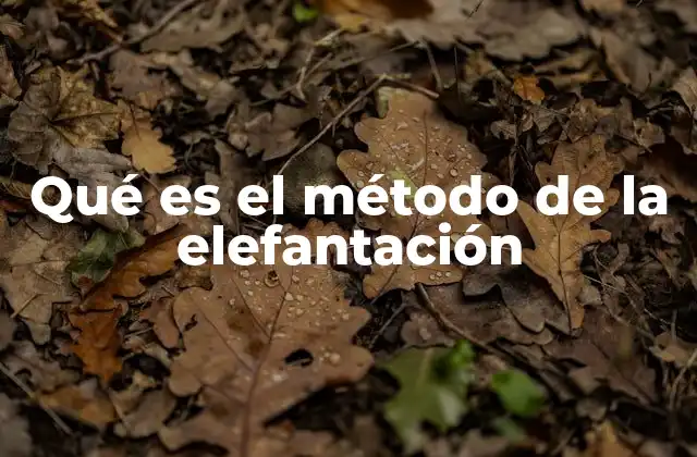 Qué es el Método de la Elefantación