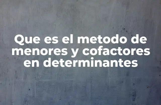 Que es el Metodo de Menores y Cofactores en Determinantes