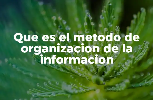Que es el Metodo de Organizacion de la Informacion