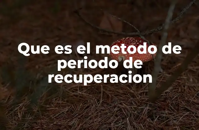 Que es el Metodo de Periodo de Recuperacion