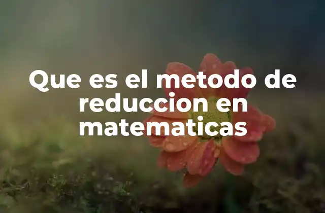 Que es el Metodo de Reduccion en Matematicas