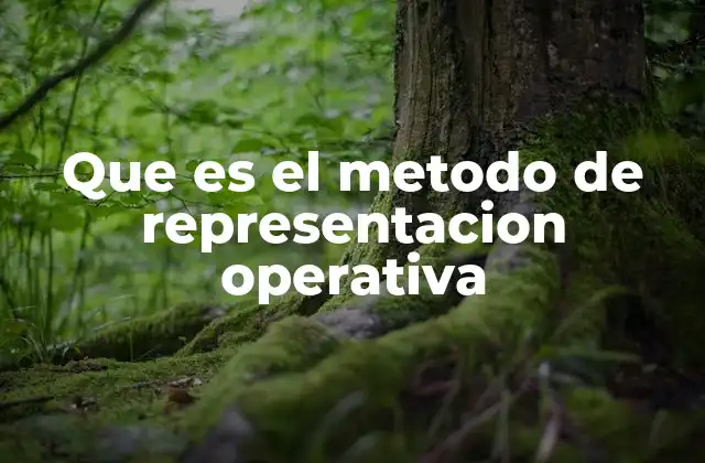 Que es el Metodo de Representacion Operativa