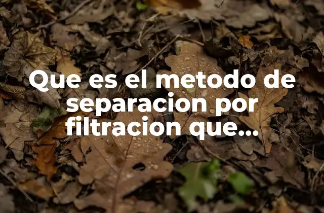 Que es el Metodo de Separacion por Filtracion que Materiales