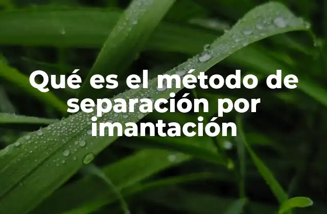 Qué es el Método de Separación por Imantación
