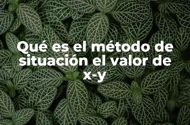 Qué es el Método de Situación el Valor de X-y