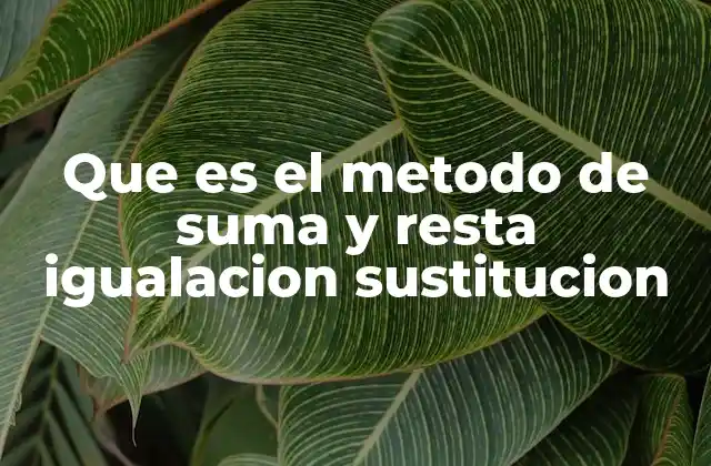 Que es el Metodo de Suma y Resta Igualacion Sustitucion