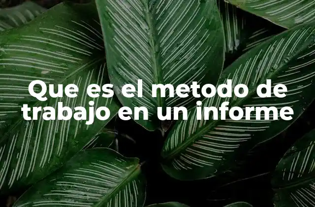 Que es el Metodo de Trabajo en un Informe