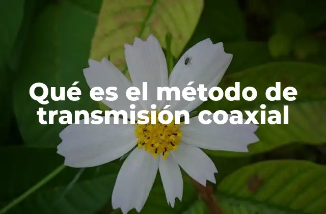 Qué es el Método de Transmisión Coaxial