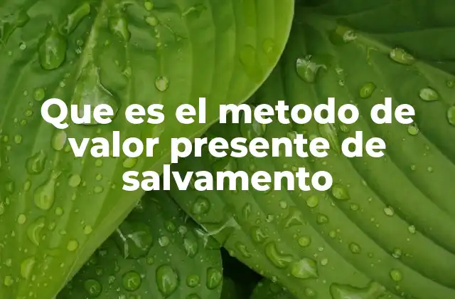 Que es el Metodo de Valor Presente de Salvamento 2 Cómo evaluar el valor residual de un activo